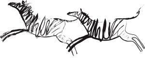 Two Zebras